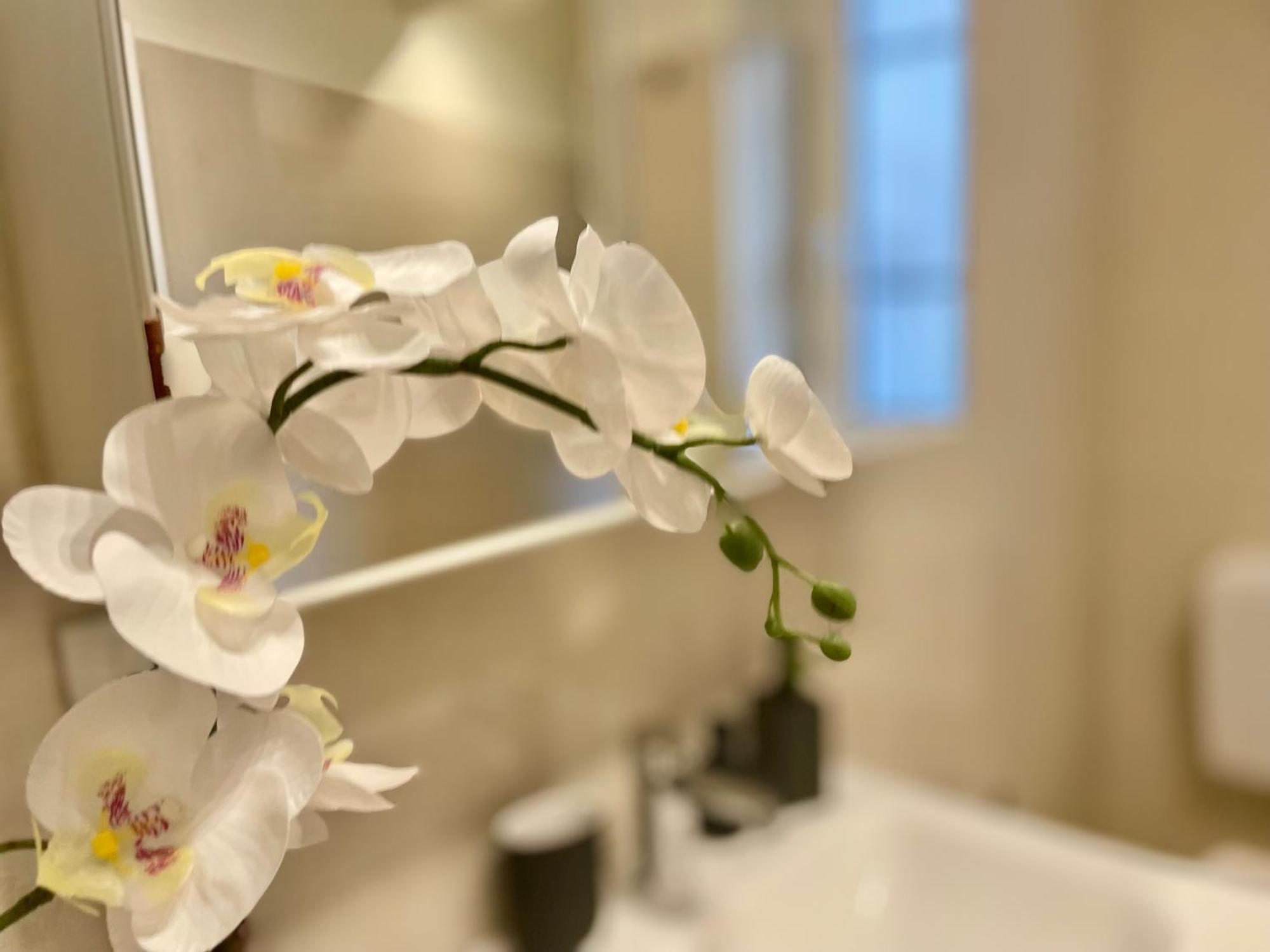 Happy Family Apartments Incantesimo ジェノヴァ エクステリア 写真